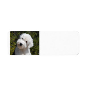Old_English_Sheep_Dog pup.png Returadress Etikett