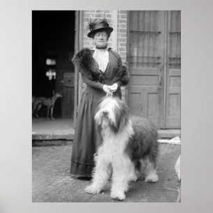 Old English Sheepdog, 1915 Poster