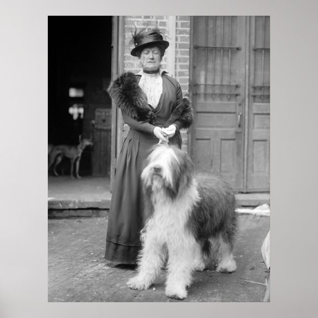 Old English Sheepdog, 1915 Poster (Framsidan)