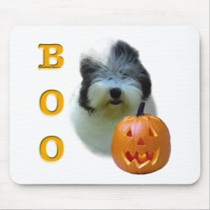 Old English Sheepdog Boo Musmatta