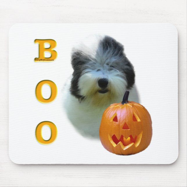 Old English Sheepdog Boo Musmatta (Framsidan)