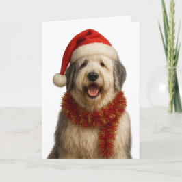 Old English Sheepdog in a Santa hat Christmas card Kort