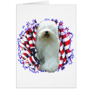 Old English Sheepdog Patriot Hälsningskort