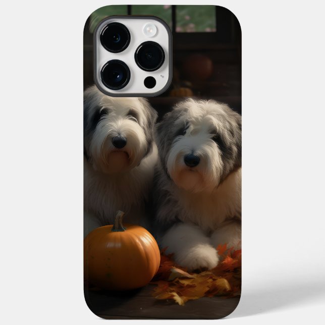 Old English Sheepdog Valp Höstglädje Pumpa (Baksida)