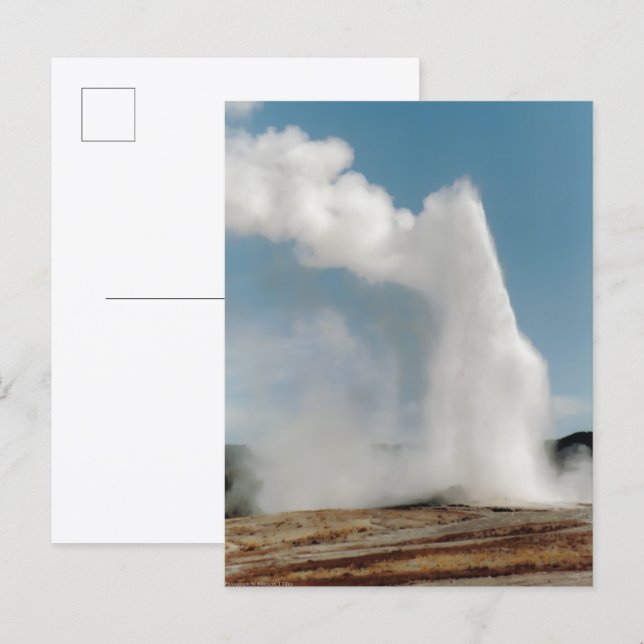 Old Faithful 2009 Vykort (Fram/baksida)