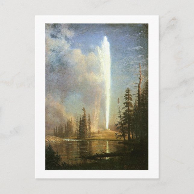 Old Faithful, Albert Bierstadt Vykort (Framsida)