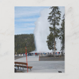 Old Faithful-gejsern i Yellowstone Park Vykort