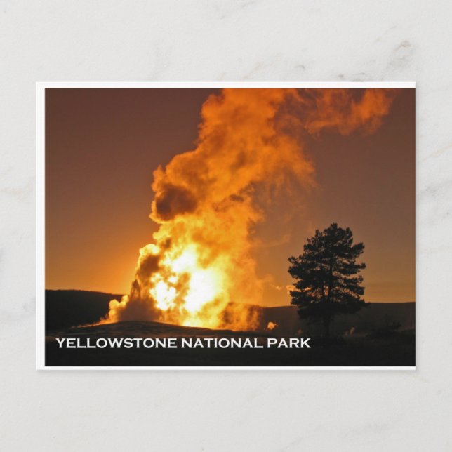 Old Faithful Solnedgång Vykort (Framsida)