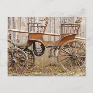 Old Finare Horse Coach Buggy Vykort