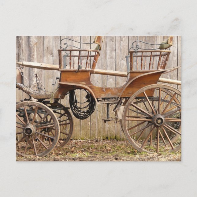 Old Finare Horse Coach Buggy Vykort (Framsida)
