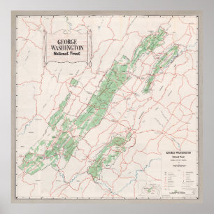 Old George Washington National Forest Karta (1964) Poster