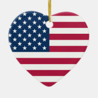 Old glory Personlig Message USA Heart