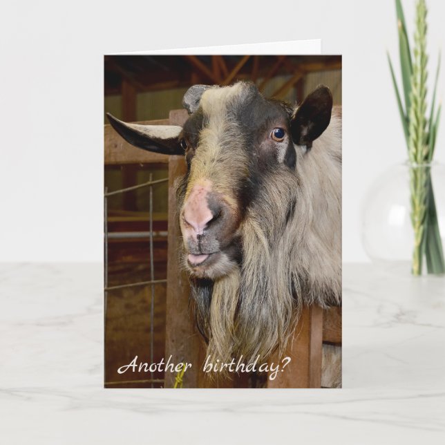 Old Goat Birthday Humor Kort (Framsida)