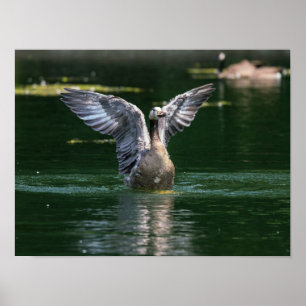 Old Goose Vinge Action Poster