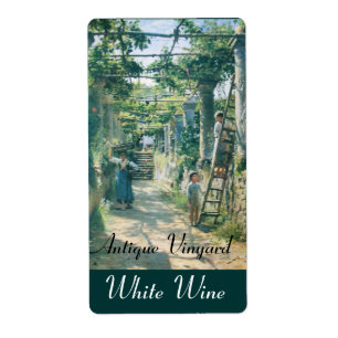 OLD GRAPE VINEYARD HARVEST VIN TASTING PARTY FRAKTSEDEL