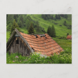 OLD HUT VYKORT