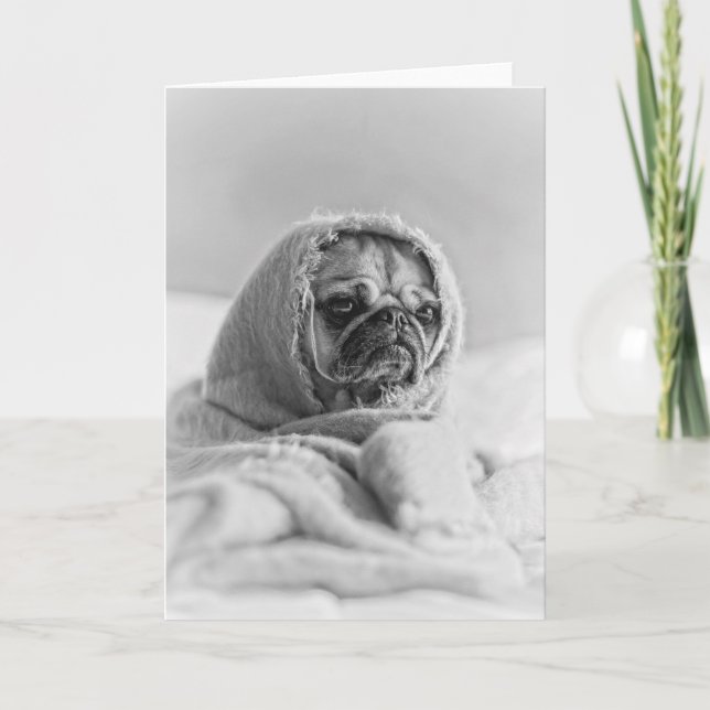 Old Land Pug Kort (Framsida)