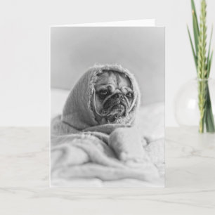 Old Land Pug Kort