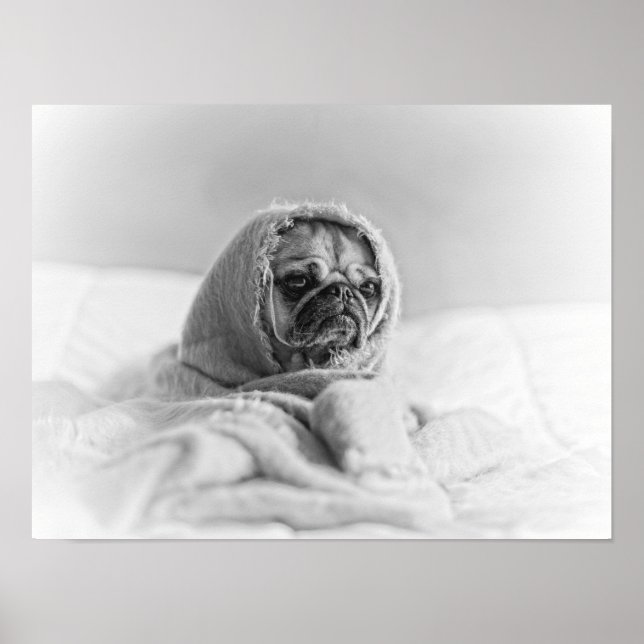 Old Land Pug Poster (Framsidan)