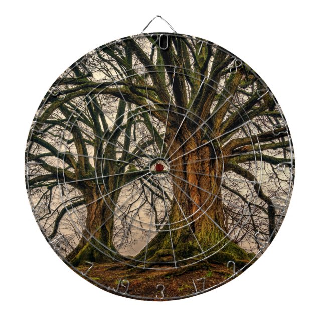 Old Oak Träd i Winter Darttavla (Framsidan)