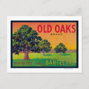 Old Oaks Pear Låda LabelBryte, CA Vykort