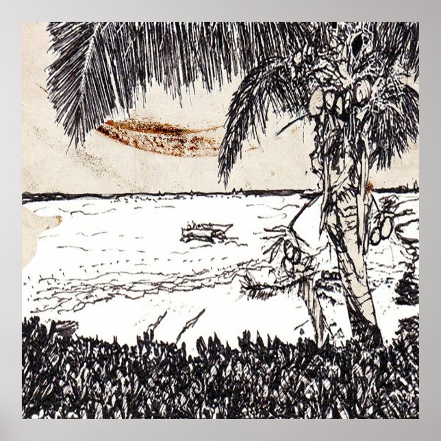 Old Paper Coconut Tree, Bahamas Poster (Framsidan)