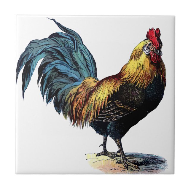 OLD ROOSTER KAKELPLATTA (Framsidan)