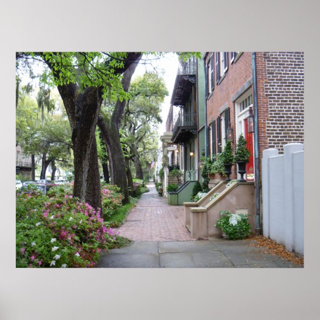 Old Savannah Poster (Framsidan)