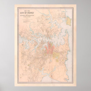 Old Sydney Australia Karta (1890) Poster