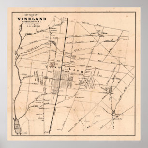 Old Vineland NJ Karta (1875) Dandelion Capital Poster