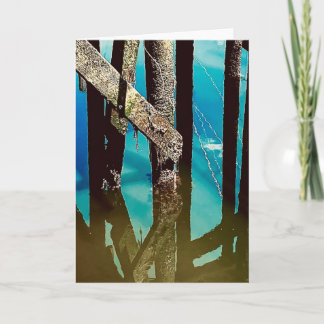 Old Wharf Pier Barnacle Beams Posts Pilings Card Kort