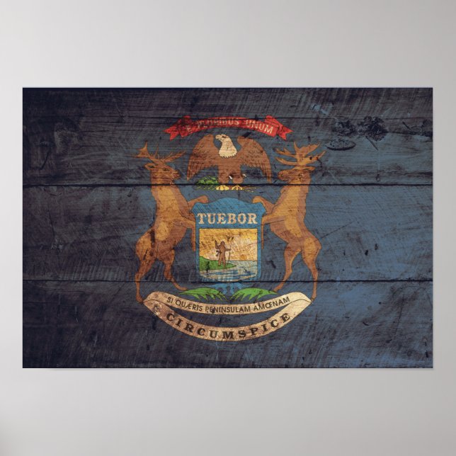 Old Wood Michigan Flagga Poster (Framsidan)