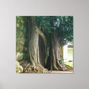 Old Yew Träd Canvastryck