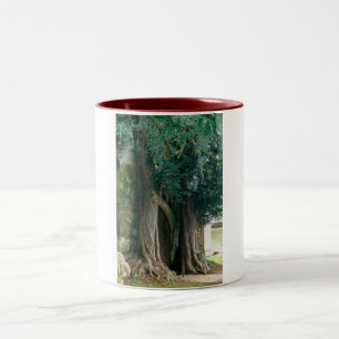 Old Yew Träd Två-Tonad Mugg