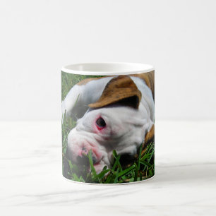 Olde engelsk bulldoggvalp kaffemugg