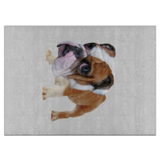 Olde English Bulldogge Puppy Bulldog Älskare