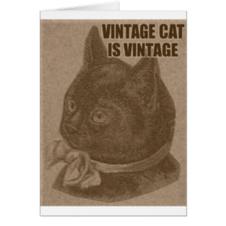 Olde LOLcat Hälsningskort