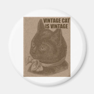 Olde LOLcat Magnet
