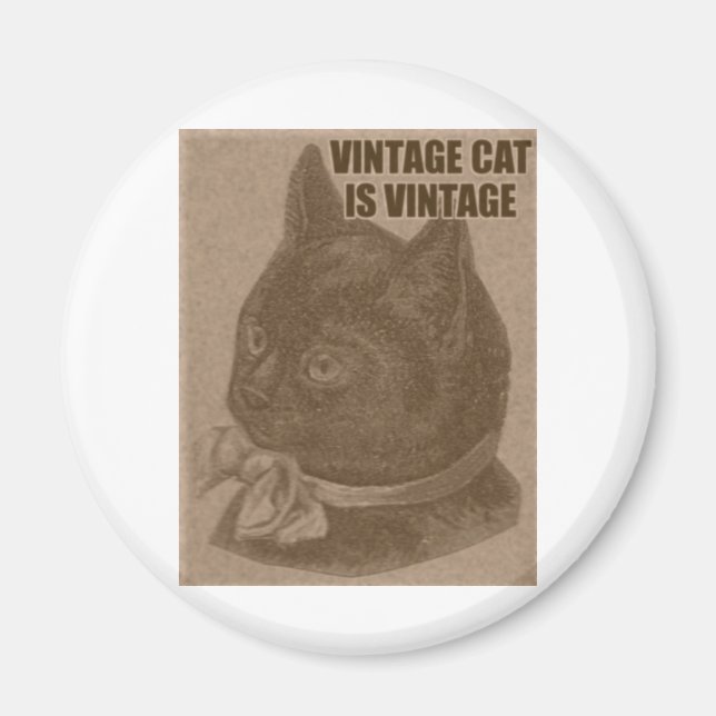 Olde LOLcat Magnet (Framsidan)