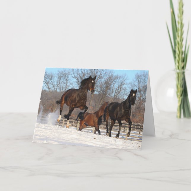 Oldenburg och Hanoverian Mares i Snö Kort (Framsida)