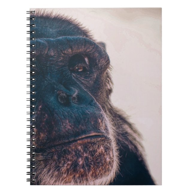 OLDEST CHIMPANZEE ANTECKNINGSBOK (Framsidan)