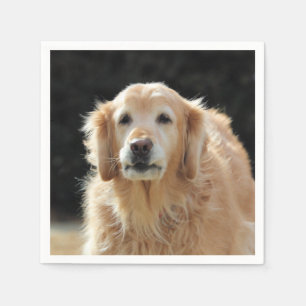 Oldie Golden Pappersservett