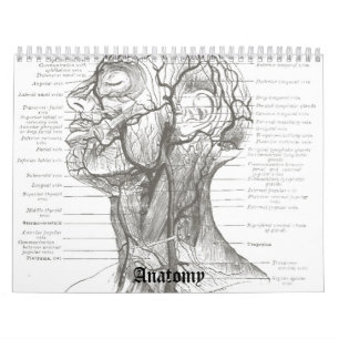 OldSchool anatomi Kalender