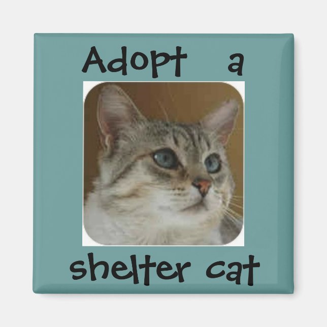 Ole Blue Ögon Magnet (Framsidan)