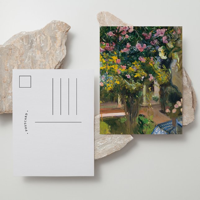 Oleanders | Joaquín Sorolla Vykort (Skapare uppladdad)