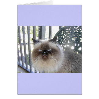 Ole'Blue Ögon Hälsningskort