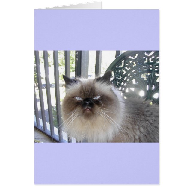 Ole'Blue Ögon Hälsningskort (Framsidan)