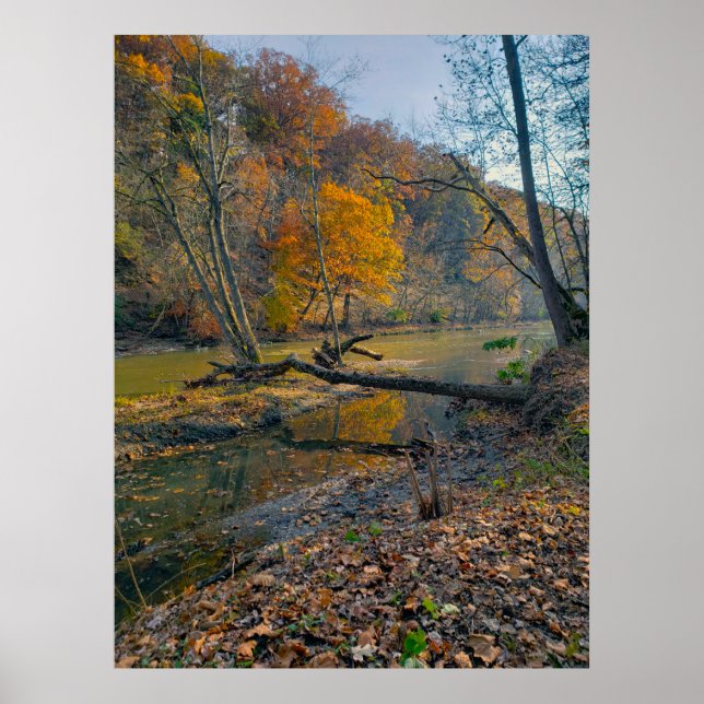 Olentangy River in Fall, Highbanks Metro Park, OH Poster (Framsidan)