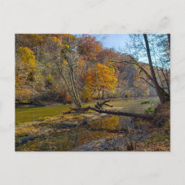 Olentangy River in Fall, Highbanks Metro Park, OH Vykort