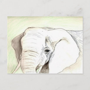 Olifant Vykort